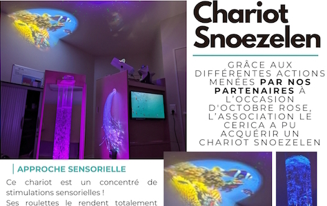 Affiche presentation chariot Snoezelen
